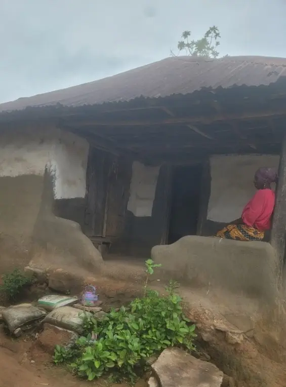 Crop Farming Project