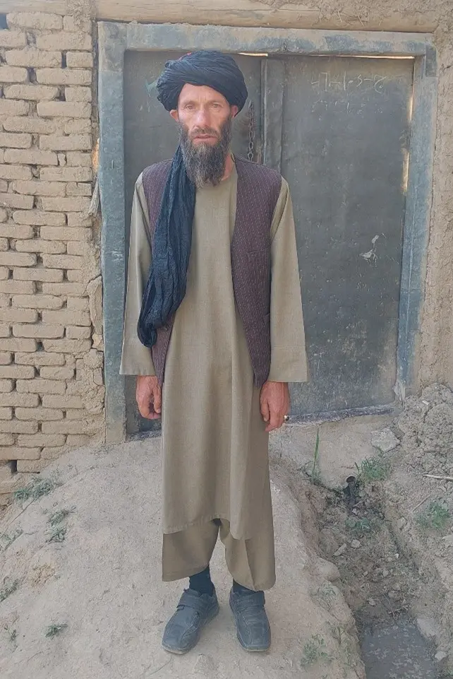 Livestock, Cow Rearing