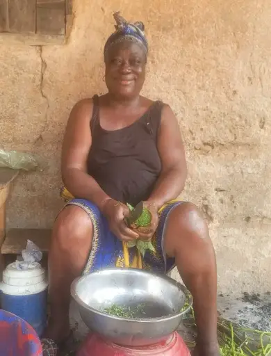 Crop & Vegetable Farming Project