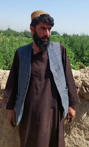 Livestock,Cow Rearing