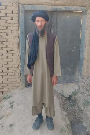 Livestock, Cow Rearing