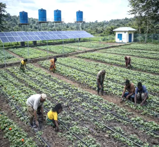 Drip Irrigation System Project